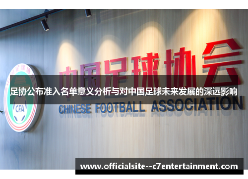 足协公布准入名单意义分析与对中国足球未来发展的深远影响